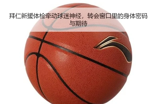 拜仁新援体检牵动球迷神经，转会窗口里的身体密码与期待 | Sports